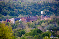 Buffalo Trace, May 2015