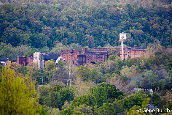 Buffalo Trace, May 2015