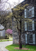 Woodford Reserve Distillery