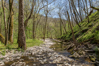 Vaughn Branch Creek 01