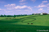 Kentucky Horse Farm, Old Frankfort Pike