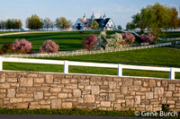 Manchester Farm in Lexington, Kentucky