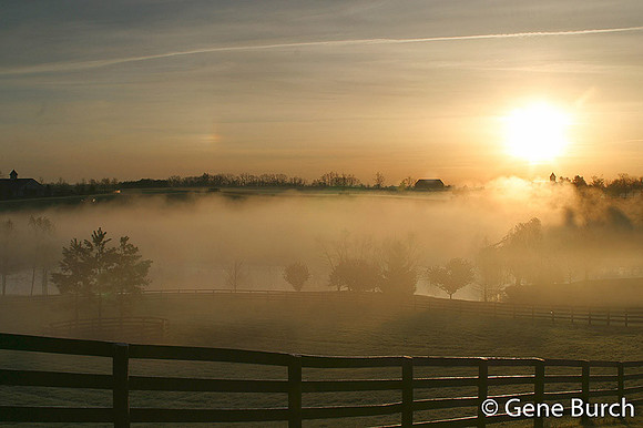 Shadwell Horse Farm, Foggy Morning